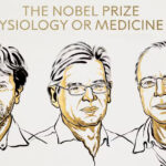 Nobel de Medicina 2026 premia estudo sobre cérebro
