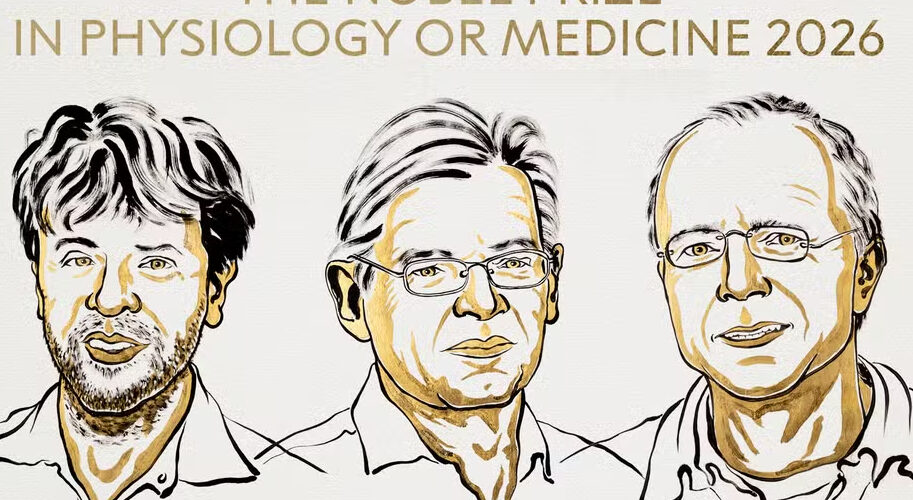 Nobel de Medicina 2026 premia estudo sobre cérebro