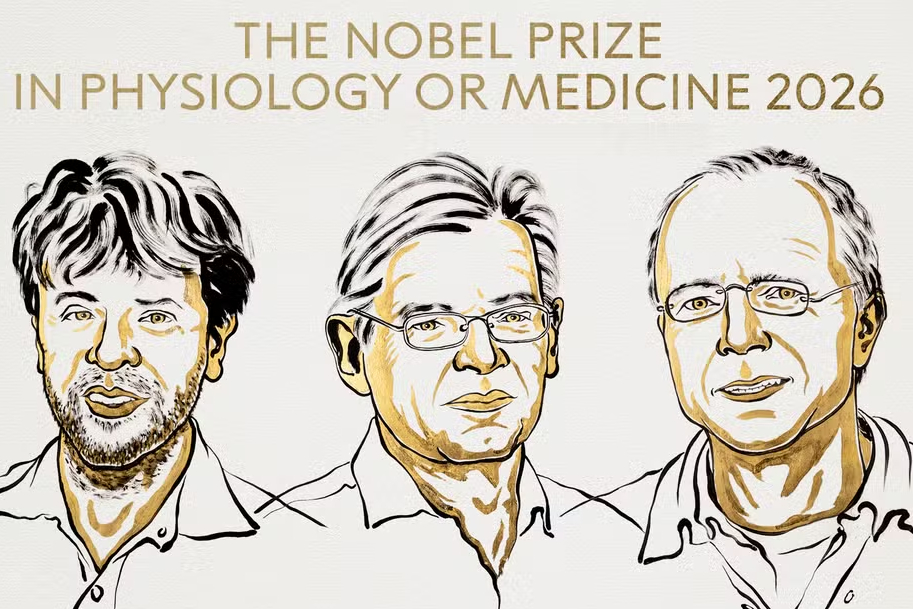 Nobel de Medicina 2026 premia estudo sobre cérebro