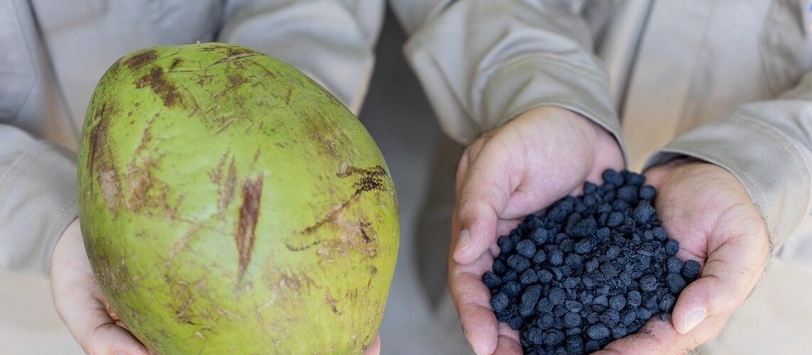 Inovação: Uece testa biocarvão de casca de coco no Pecém