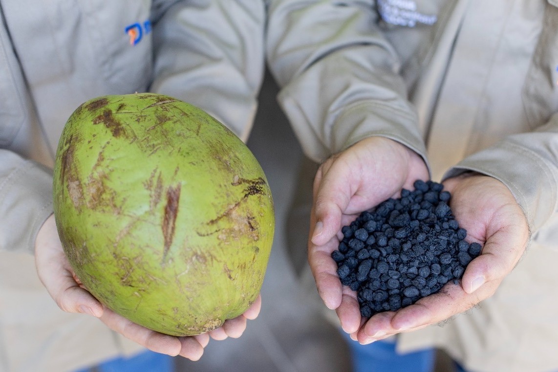 Inovação: Uece testa biocarvão de casca de coco no Pecém